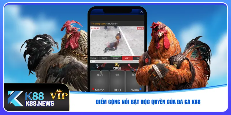 Điểm cộng nổi bật độc quyền của đá gà K88