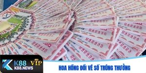 hoa hồng đổi vé số trúng thưởng